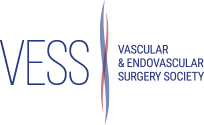 Vascular and Endovascular Surgery Society (Winter Meeting) @ Hotel Talisa | Vail | Colorado | United States