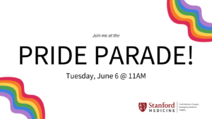 🏳️‍🌈 Pride Parade